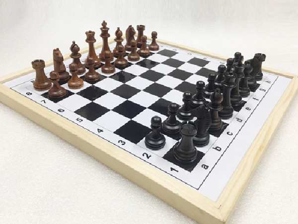 Cách xếp cờ vua chi tiết nhất dành cho người mới nhập môn