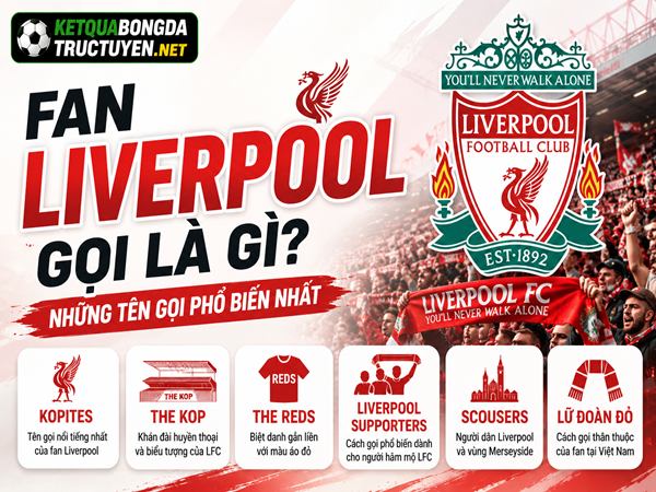 Fan liverpool gọi là gì? Những tên gọi phổ biến nhất